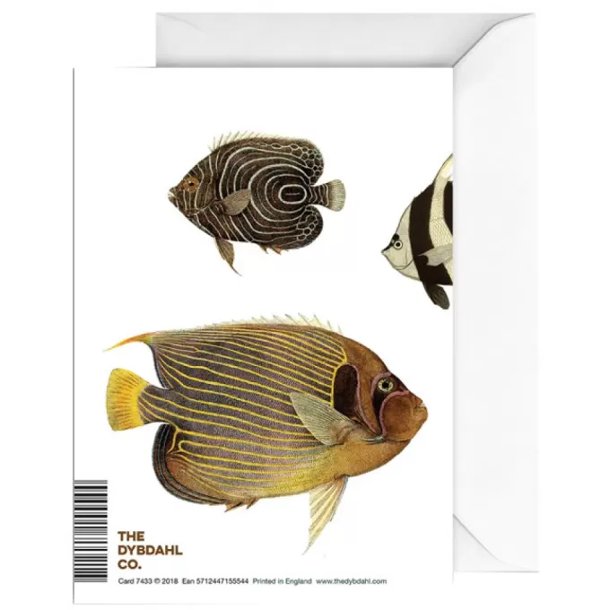 New ZONE Poisson Jaune Yellow And White