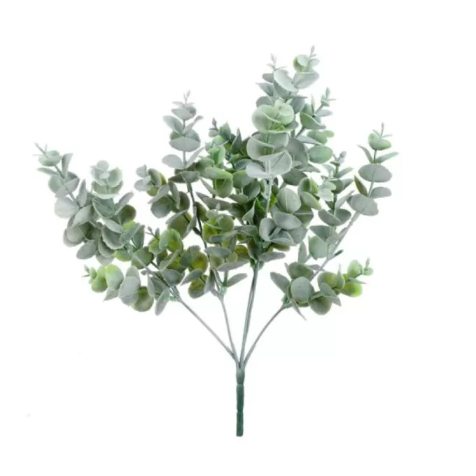 Clearance ZONE Tige Eucalyptus Green